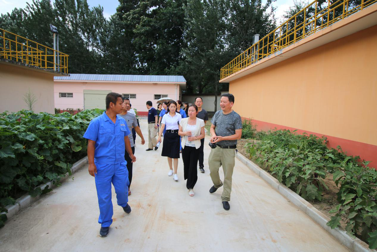 省爱卫办病媒生物防治专家组到水情形公司丹凤县污水处理厂检查事情