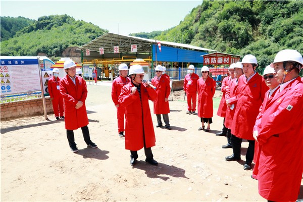 人生就是博集团复工复产促增添项目观摩聚会与会职员走进环保保隆生态三秦在延在铜项目