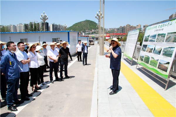 人生就是博集团复工复产促增添项目观摩聚会与会职员走进环保保隆生态三秦在延在铜项目