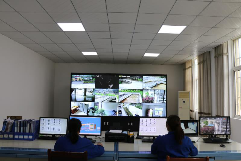 这个端午节，水情形人这么过（二）