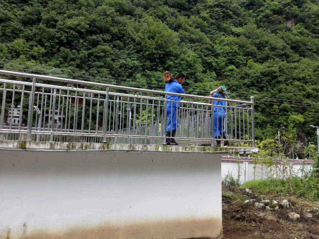 这个端午节，水情形人这么过（二）