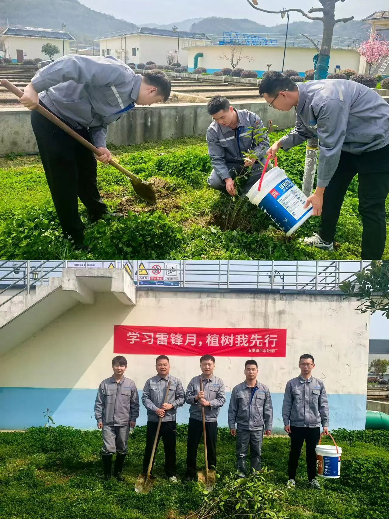 水情形公司权属各企业开展植树节活动