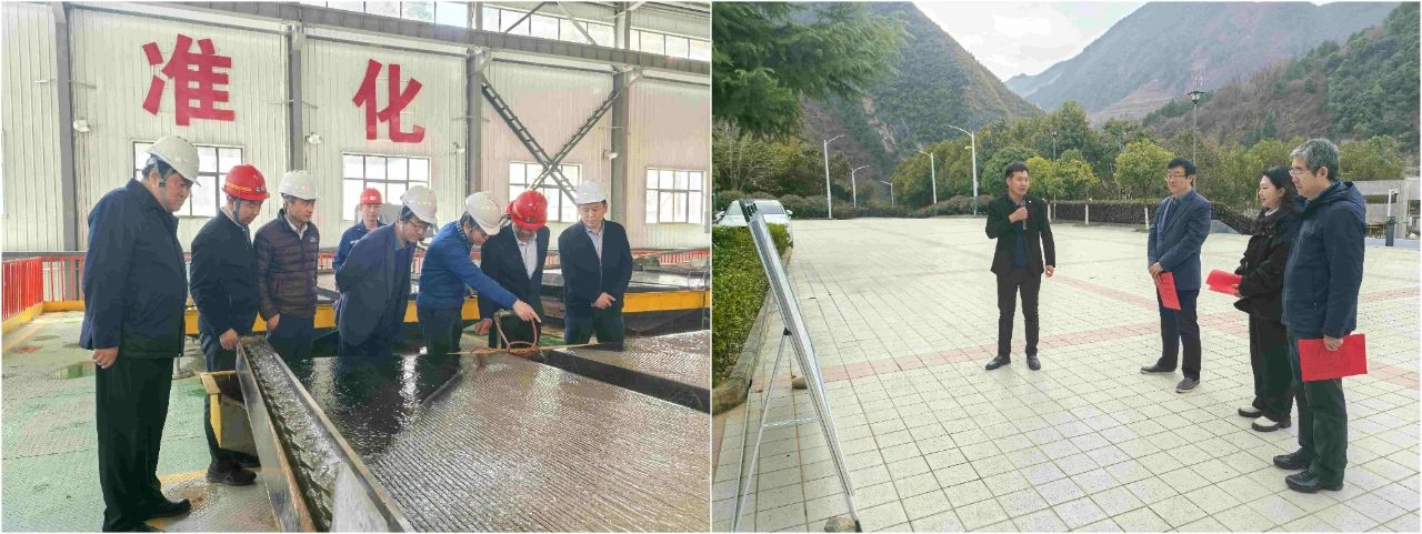 人生就是博集团外部董事赴鼎丰矿业公司、、水情形公司镇安污水处理厂调研指导事情